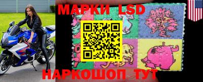 прущие грибы Малгобек