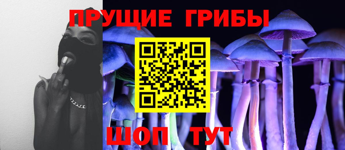 Псилоцибиновые грибы GOLDEN TEACHER  купить наркотики цена  Псилоцибиновые грибы мухоморы  Вязники  Вход с VPN 
