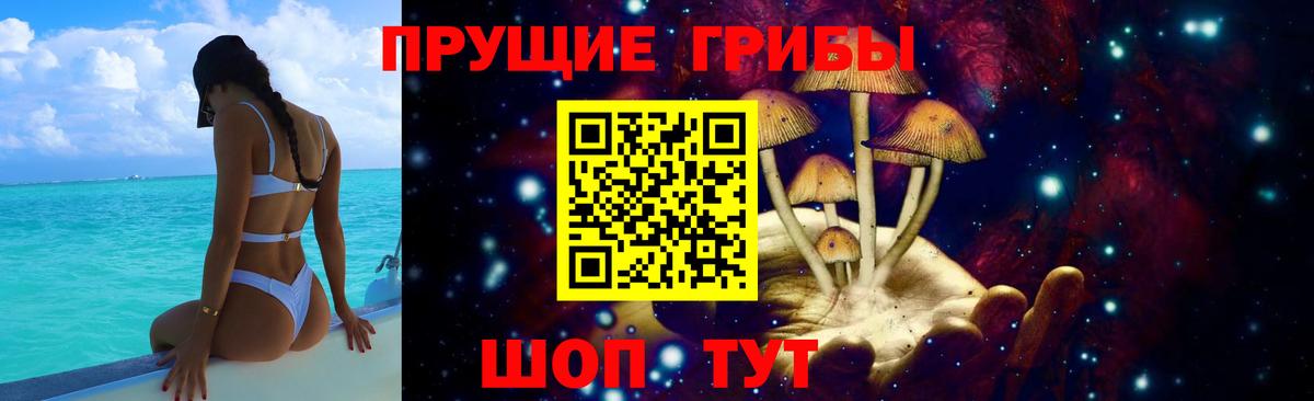 Псилоцибиновые грибы Magic Shrooms Вязники