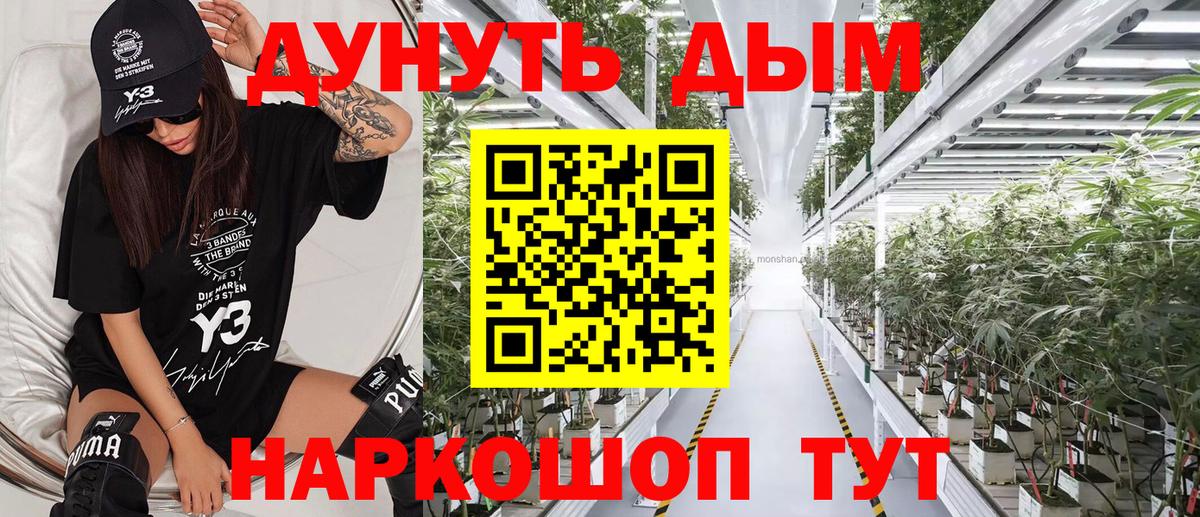 Бошки Шишки тримм  Вход с VPN  Конопля White Widow  Вязники  Марихуана Amnesia 